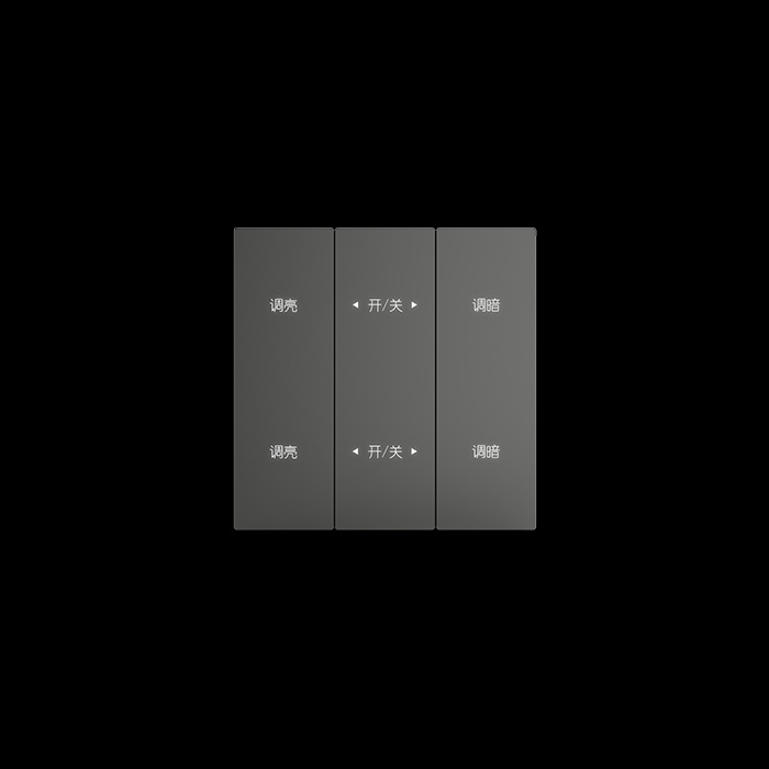 TMS-D-ZJ-Q-DT02冰冷灰 二路调光面板-冰冷灰色