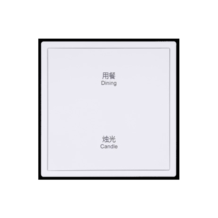 TMS-H-ZN-MB-0102方悦单开双控面板2.0