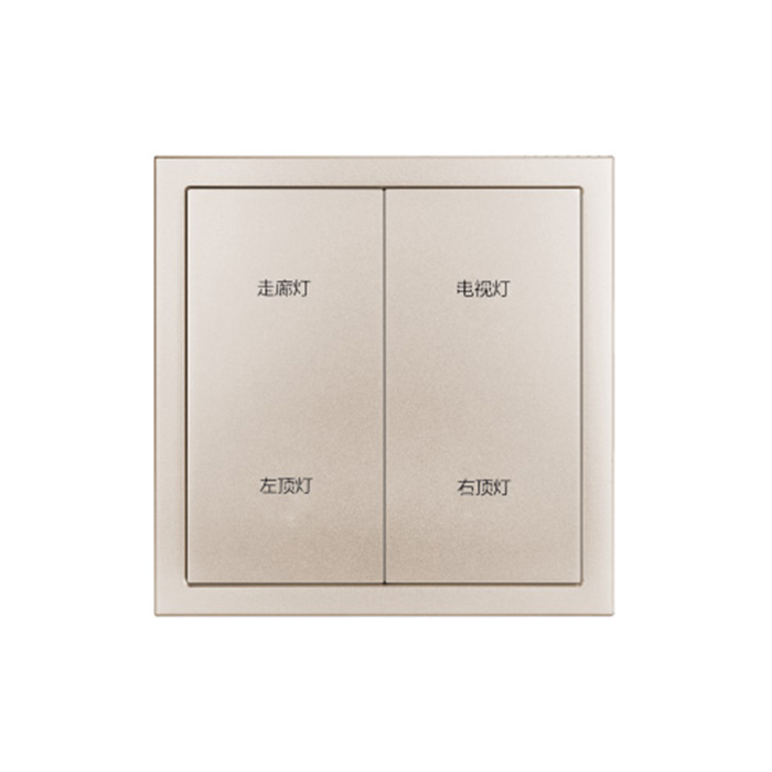 TMS-H-ZN-MB-0204-方悦双开四控面板